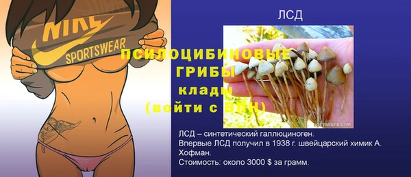 СК Алексеевка