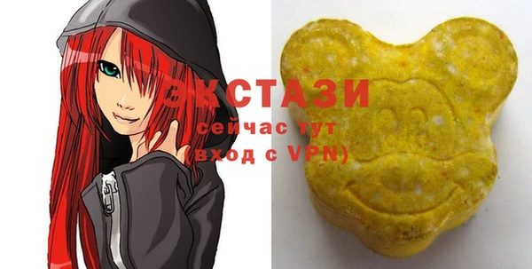 хмурый Рославль