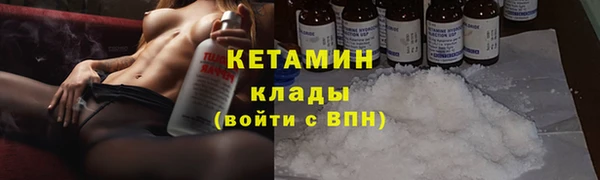 сатива Россошь