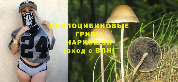 гашик Абинск