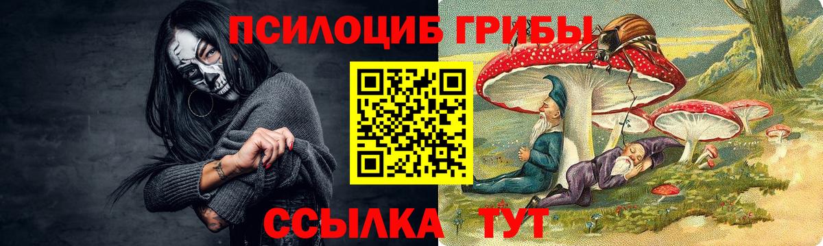 где найти наркотики  Галлюциногенные грибы прущие грибы  Галлюциногенные грибы прущие грибы  Вход с VPN  Заринск 